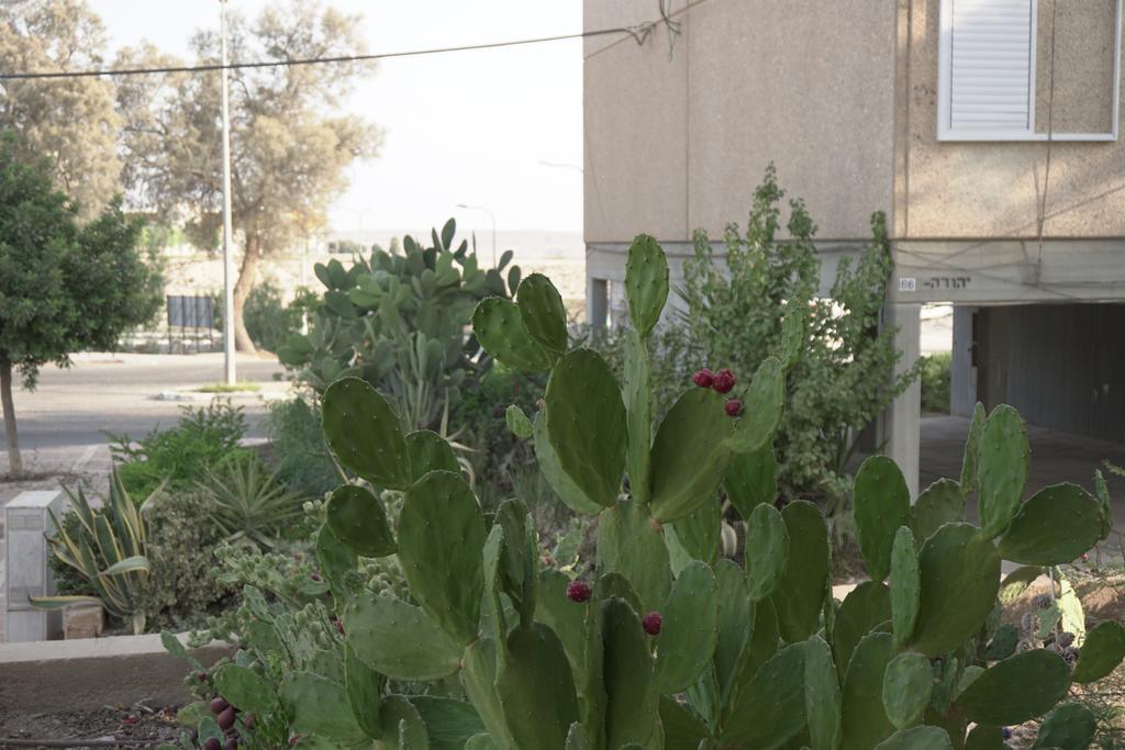 Dead Sea Yehuda Apartments Arad Exterior photo